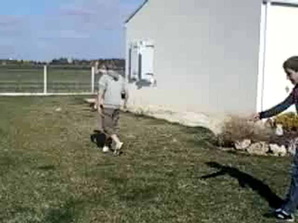 Vidéo-0140