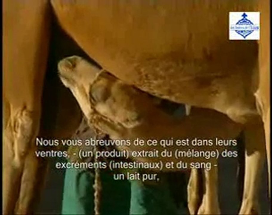 Ne voient t_il pas _ Partie 4.flv