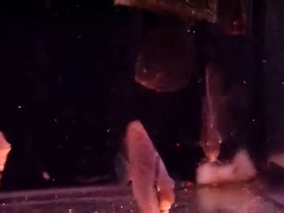 turquoises rouges 171010