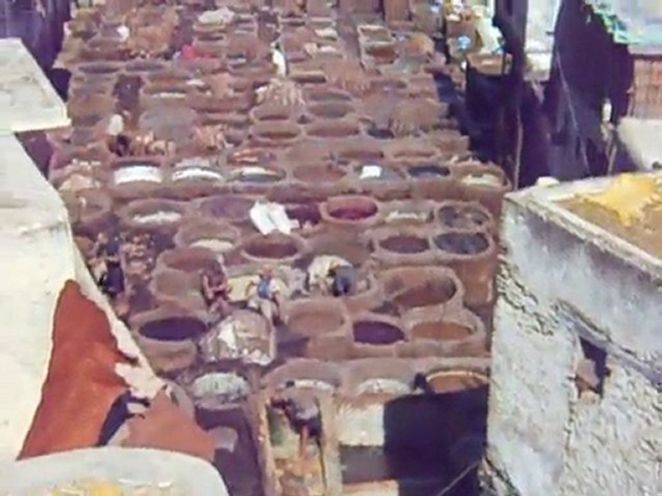 Fez Tanneries