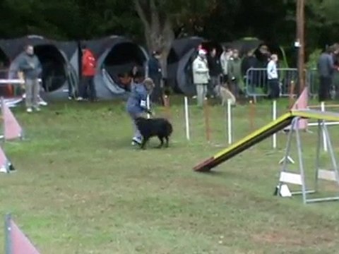 BELLEVILLE 2010 Delta GPF