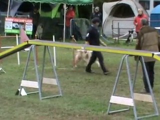 BELLEVILLE 2010 Chanel GPF