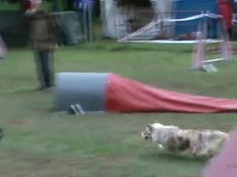 BELLEVILLE 2010 Chanel Jumping