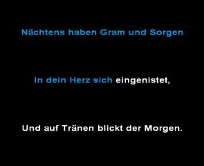 Nächtens. J. Brahms. Karaoké pour basses
