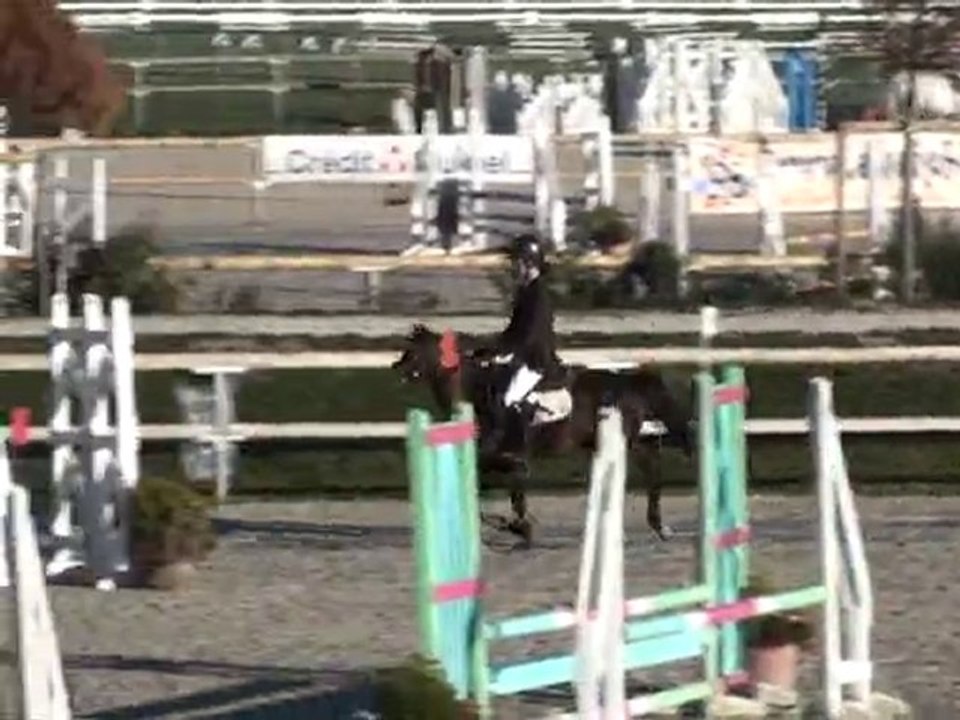 sir raspoetin tilia, 2e manche cso sologn pony