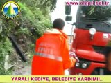 YARALI KEDİYİ KURTARMA SEFERBERLİĞİ