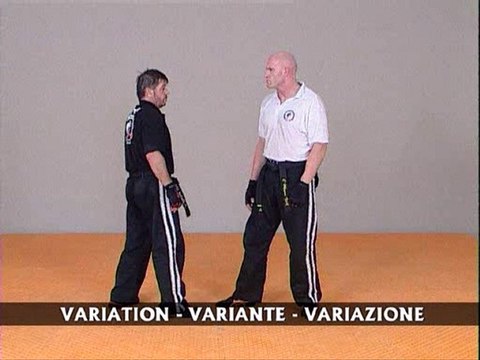 Cours et apprentissage Krav maga - S.P.K.