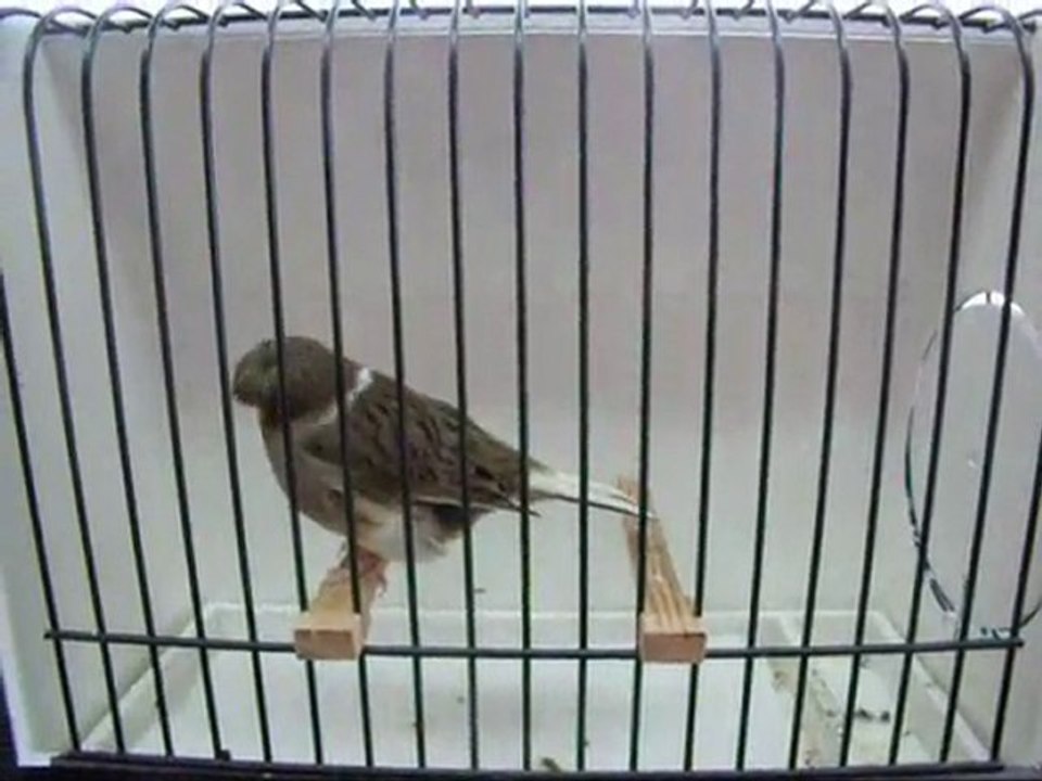 AHRAC TEPELi DiSi | 075-2010