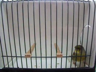 AHRAC KABAK ERKEK | 076-2010