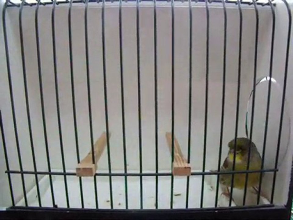 AHRAC KABAK ERKEK | 076-2010