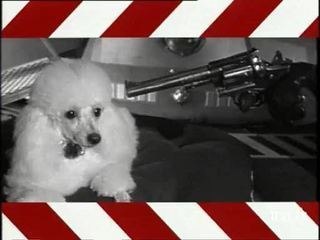 Séquence femmes de chanteurs morts