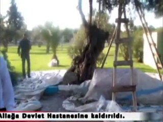 ZEYTINLI PARKTA GORUNUR KAZA!