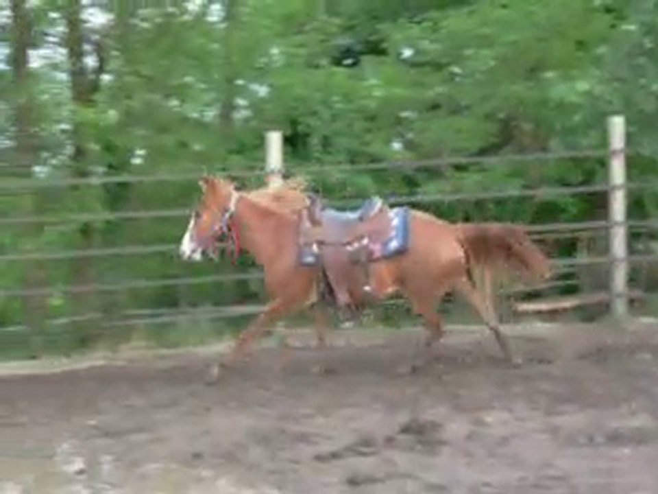 Smiley galop rond de longe