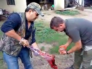 Cengizhan2  tavşanı nasıl yüzer.