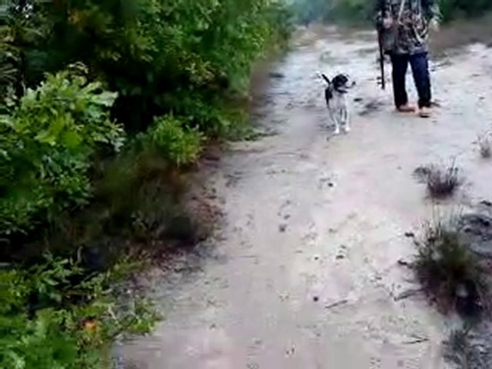 Hasan ustanın Apti oynakta