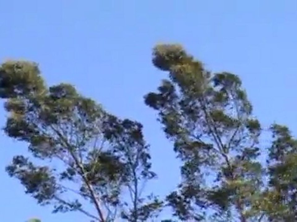 Au grès du vent d'Autan