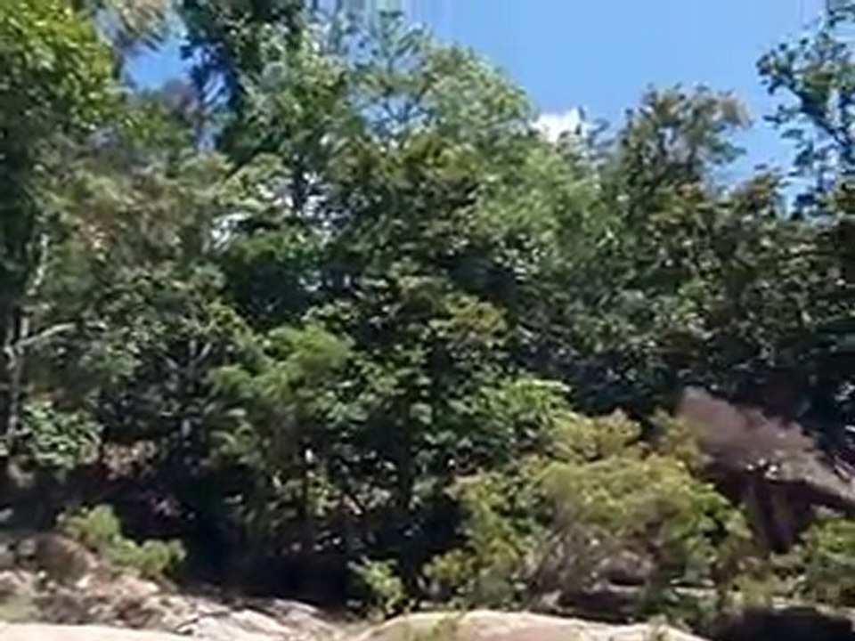 Murray Falls