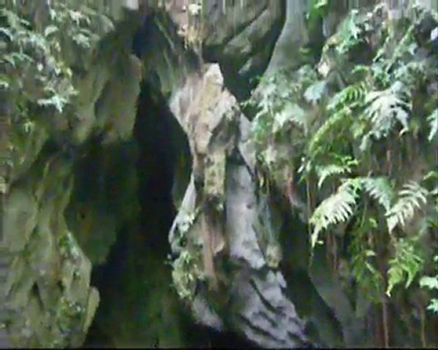 Phouhin Namno 2010. Expédition spéléo EEGC au Laos