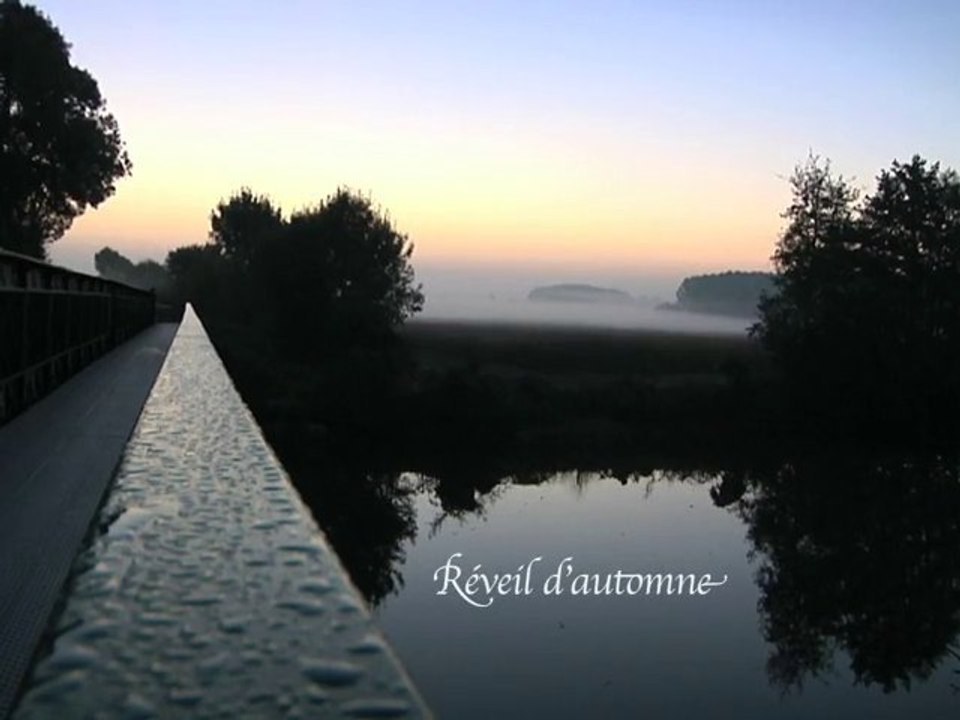 Réveil d'automne