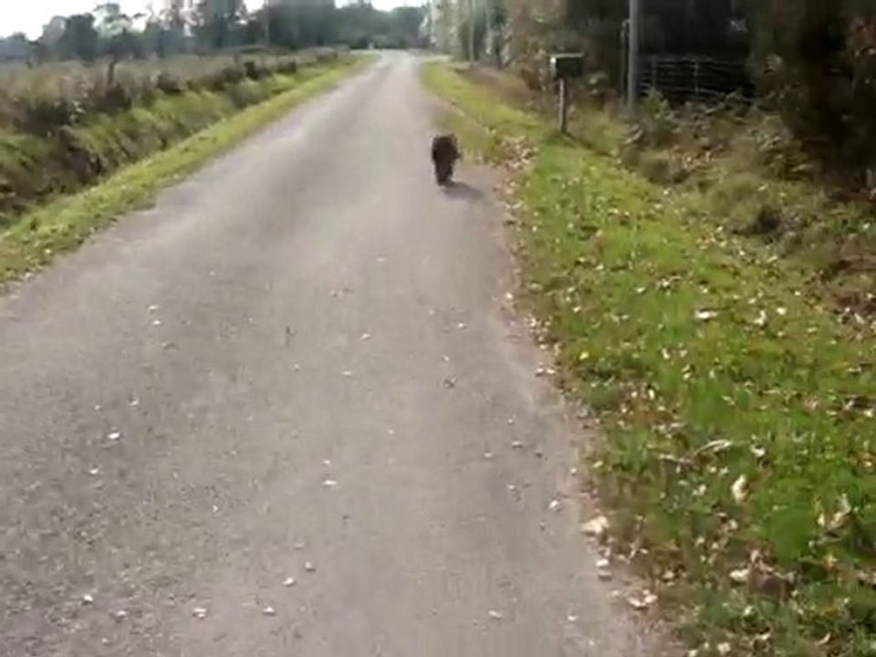 MOV01699