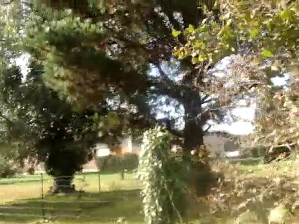 MOV01700