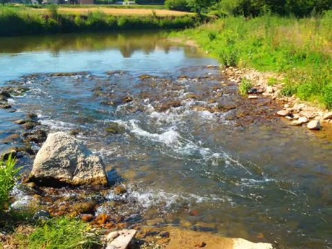 Vidéo 2010 du forum La truite et les carnassiers