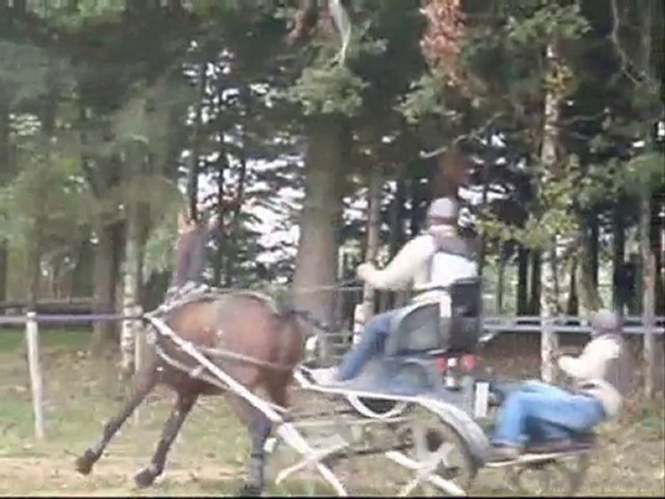attelage