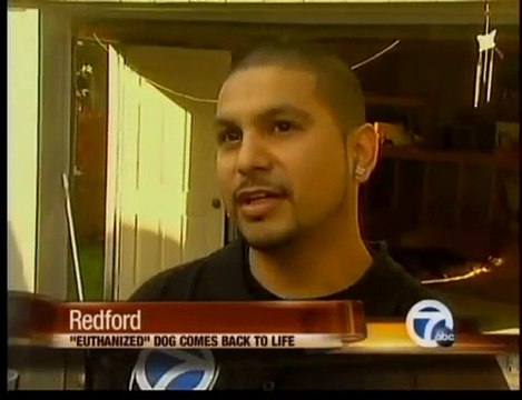 euthanized dog back to life