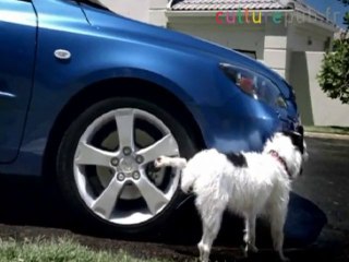 Pisser dans la rue / Mazda.