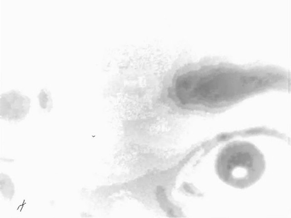 Drama 2012: bewusstseinssprung und seine schwerwiegenden fol