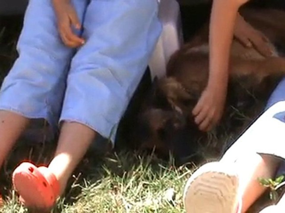 SEANCE CALIN POUR JADE