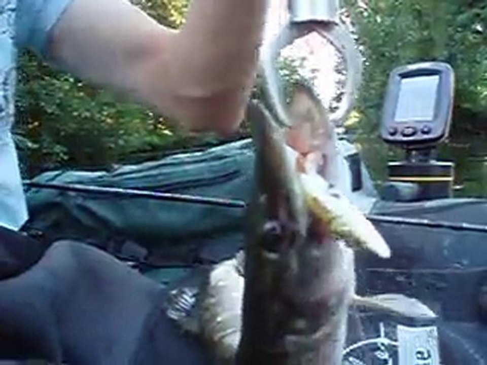 peche en float tube a montfort sur meu