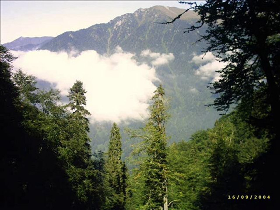 Çamlıhemşin yaylaları--9- tulum-www.kavrun.tr.gg