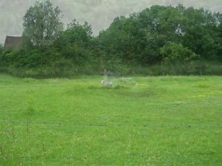 Diaporama de l'année 2010 - 24ème partie