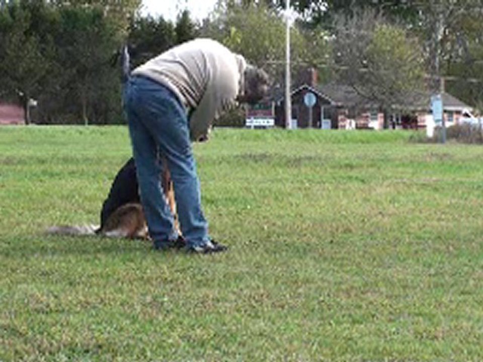 Kaza sit with attention
