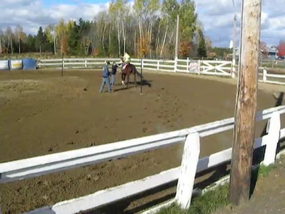 ma jument au sauvetage