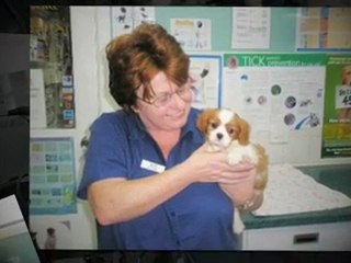 Sutherland Vet | The Best Vet in the Sutherland NSW Region
