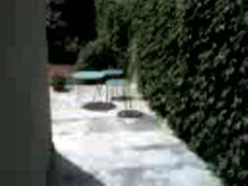Un bout de jardin