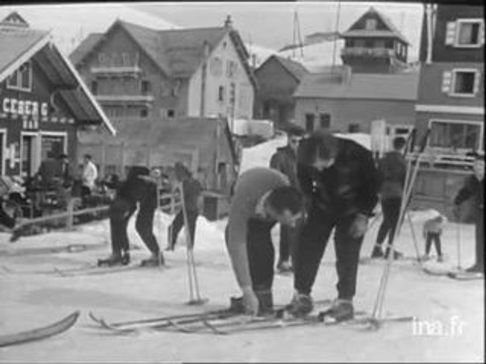 Mini ski