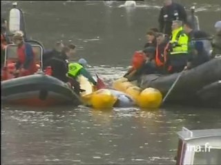 Baleine en danger : les Londoniens se mobilisent