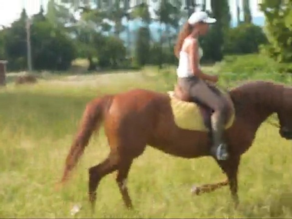 Jaya - jument à vendre 2000€