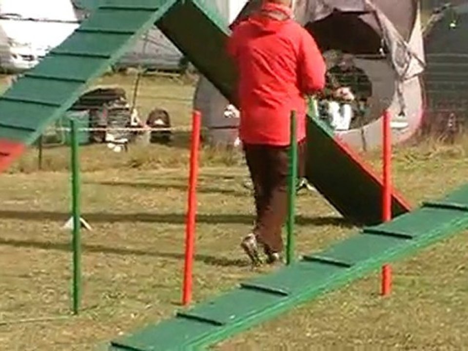 1er degré concours mehun sur yevre 17/10/2010