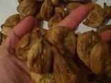 SAMRIOĞLU Organic Dried figs - SAMRIOGLU  Export