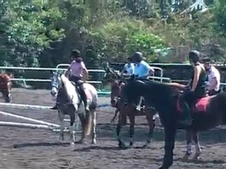 17.10.10 - entrainement obstacle - Louise et Qaty