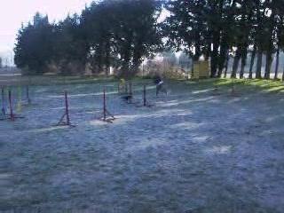 Entraînement - décembre 2005