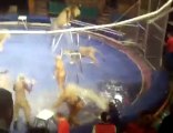 attaque de lions au cirque