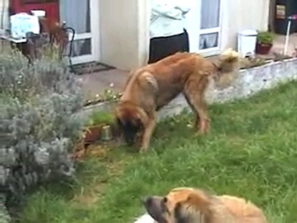 chez monik et Cherkan avec Core, Ub jr, Ered 18 oct 2010