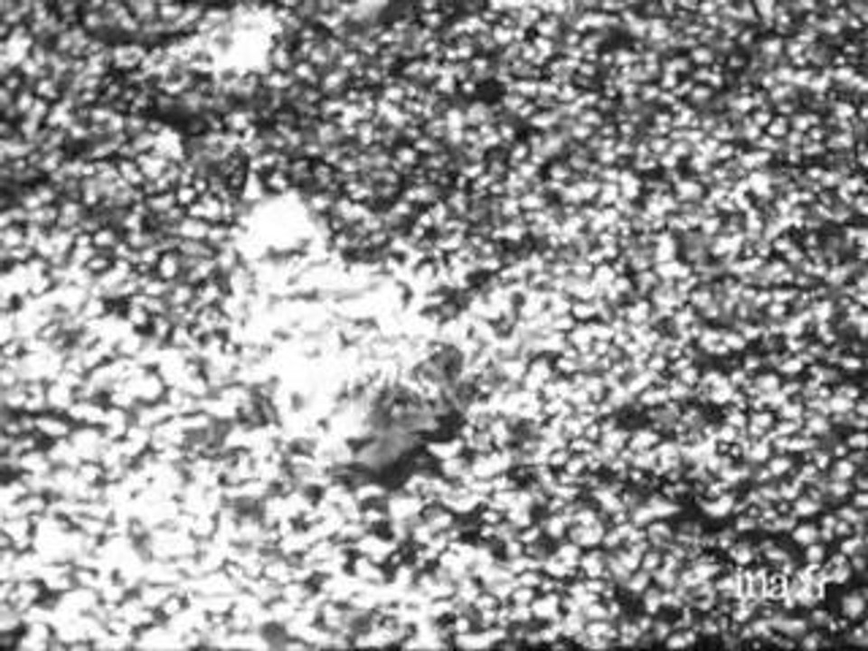 Brésil: Rio, Bahia, l'Amazonie et les chutes d'Iguaçu