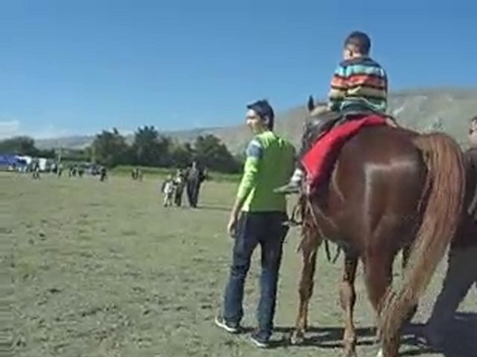 Tufan At Üstünde
