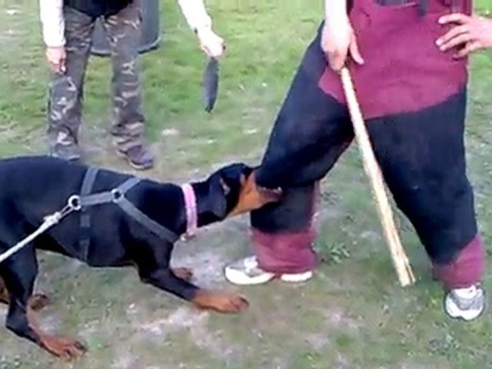 Arès première défense du maître